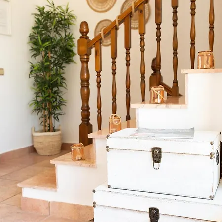 Palm House Tatil Evi *