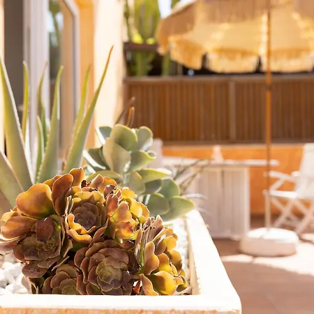 Tatil Evi Palm House