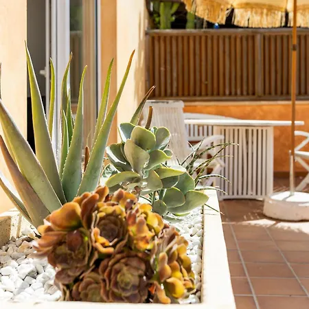 Dom wakacyjny Palm House Corralejo